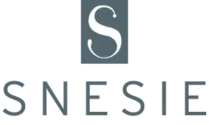 Synergie Nouvelle pour l'Evolution des Stratégies et Innovations d'Entreprise